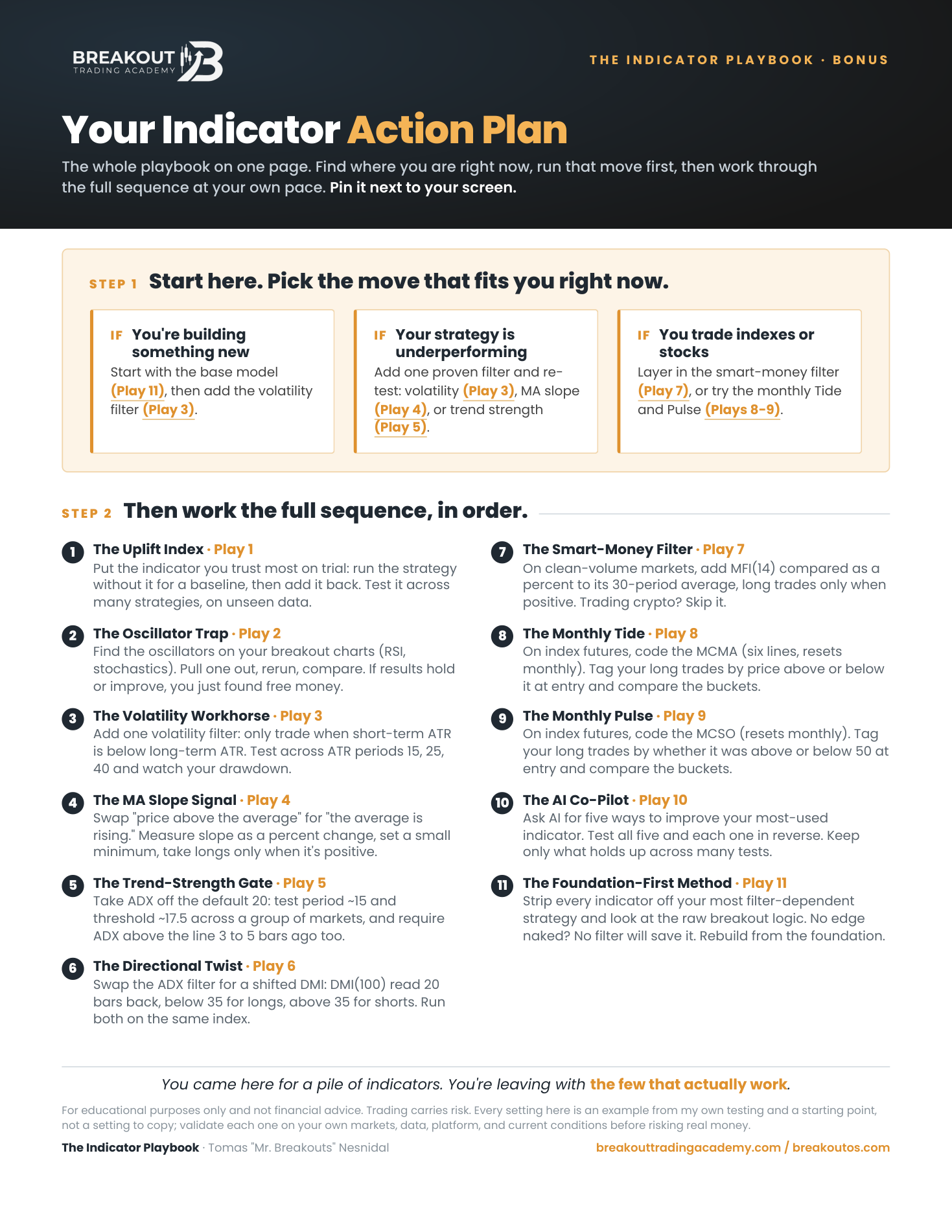 The Indicator Action Plan printable preview